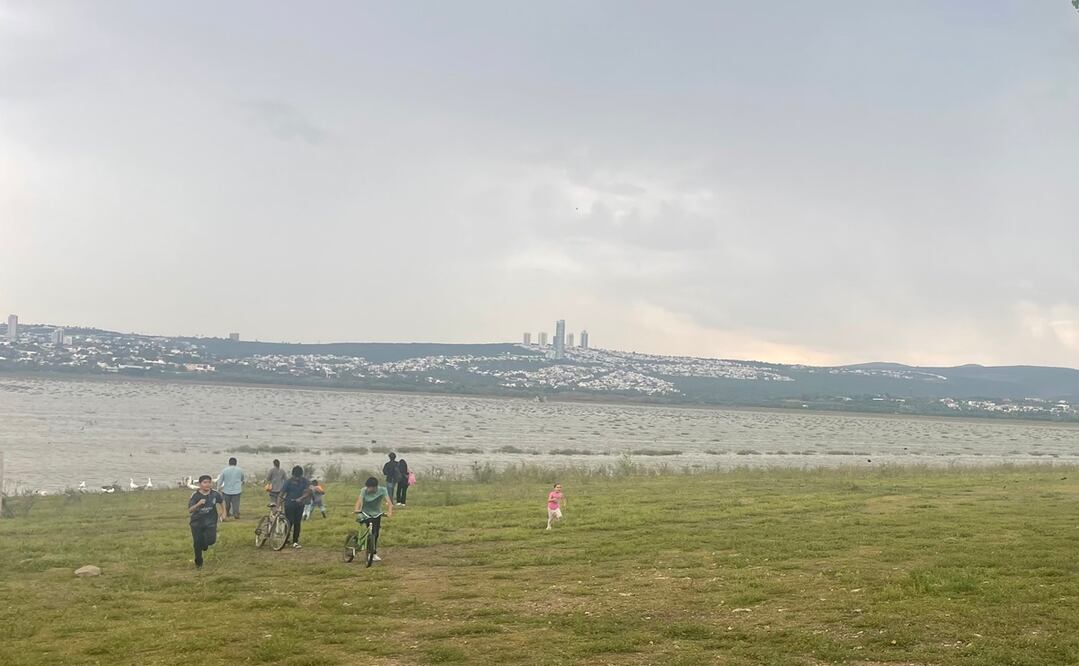 La presa El Palote, en León, vuelve a tener vida. Foto: Xóchitl Álvarez / EL UNIVERSAL