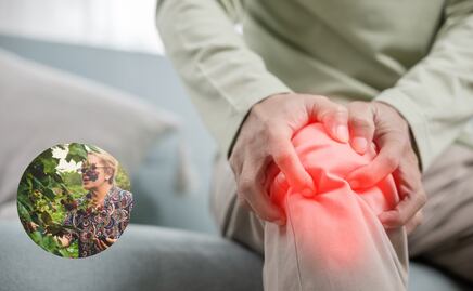 Conoce la fruta rica en colágeno que fortalece tus articulaciones y protege tu corazón