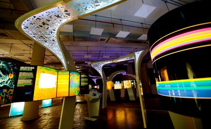 "Túnel de la Ciencia" muestra hasta tus entrañas