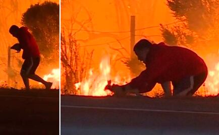 Video. Hombre rescata a un conejo de incendio en California