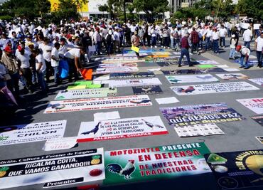 Protestan contra prohibición de peleas de gallos en Chiapas; aseguran que lejos de prohibir, gobernador debe brindar seguridad