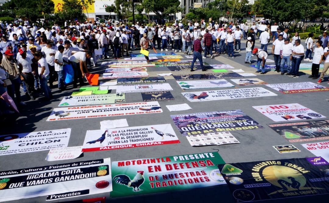 Los galleros se concentraron en Tuxtla, donde participaron en una marcha que culminó en la plaza central de la ciudad. Foto: Óscar Gutiérrez / EL UNIVERSAL