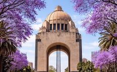 Cuándo es el Festival de las Flores 2026 y qué actividades tendrá