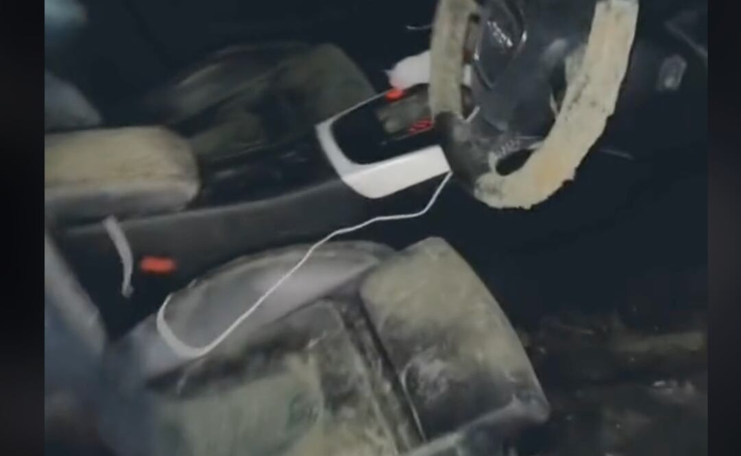 El auto fue invadido por un hongo tras 3 semanas sin uso. Imagen: TikTok @jessdavisaust