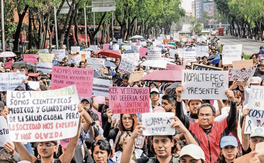 El contingente marchó por Paseo de la Reforma para llegar al Senado de la República, luego se trasladaron al Congreso capitalino. Foto: Yaretzy M. Osnaya / EL UNIVERSAL