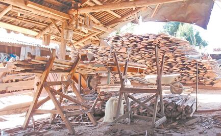 Cierre de madererías en CDMX, en el marco del combate a la tala de árboles, señala Batres