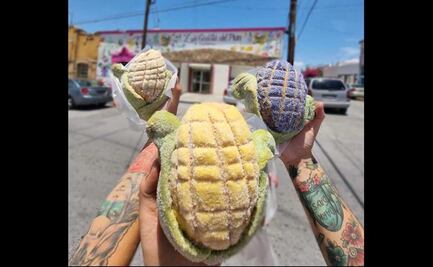 Creación de la conchaelote se vuelve viral en redes