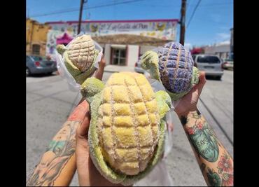 Creación de la conchaelote se vuelve viral en redes