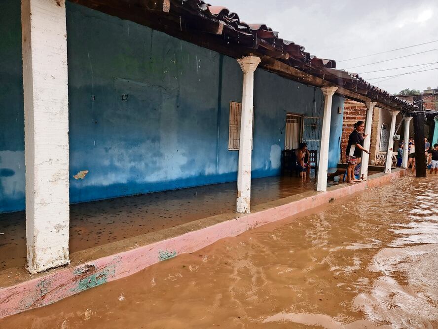 En Guerrero, Max ha provocado ya la caída de 40 árboles y 82 viviendas inundadas. Foto: Especial