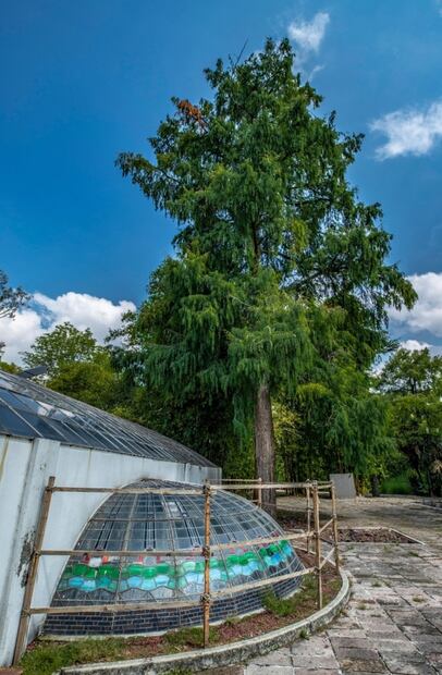 “Más arquitectura vegetal y menos arquitectura gris para Chapultepec”