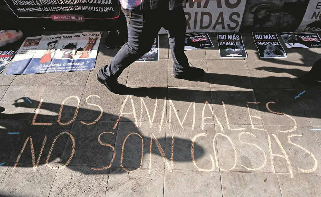 El pasado viernes, un juez ordenó la suspensión definitiva de los espectáculos taurinos en la Plaza México. Foto: Archivo EL UNIVERSAL