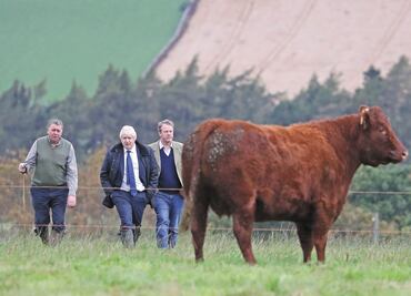 Brexit: caos eterno que encamina a Reino Unido a elecciones