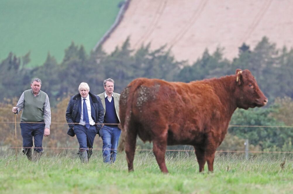El primer ministro británico, Boris Johnson, en una granja en Escocia. Foto/ANDREW MILLIGAN. AFP