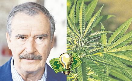 El Foco. "Chente" perdió su pensión, pero pronto podría vender marihuana  