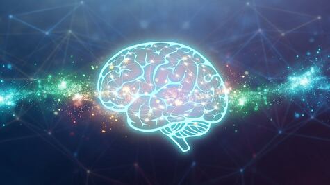 El amor no está en el aire, sino en la corteza cerebral