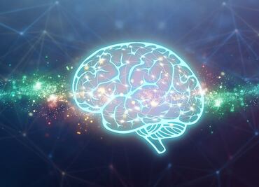 El amor no está en el aire, sino en la corteza cerebral