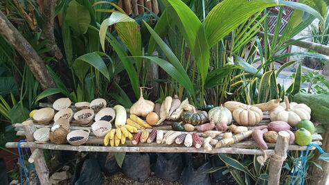 Señor, sueños, Marcos, el mundo Maya 