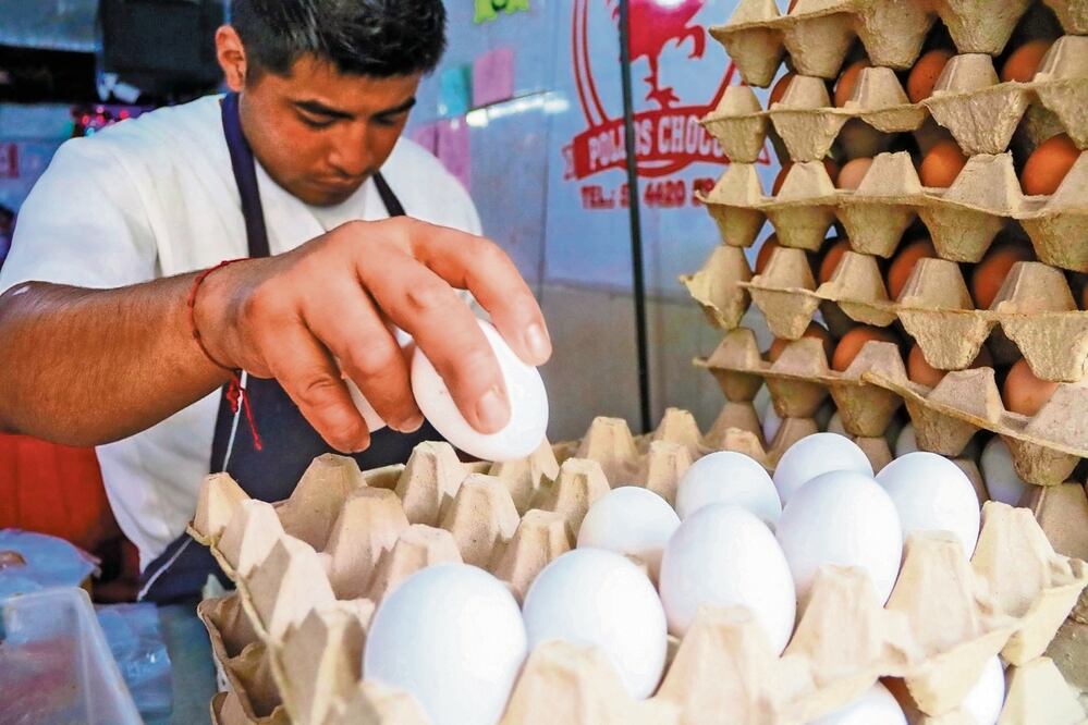 Los vendedores de huevo han ampliado sus márgenes de ganancia, pese a que producirlo es más barato que hace un mes. Foto: Victoria Valtierra / Cuartoscuro