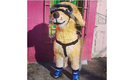 "Frida", la perrita rescatista se vuelve piñata