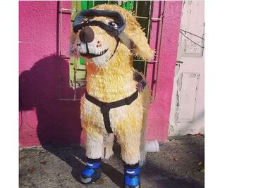 "Frida", la perrita rescatista se vuelve piñata