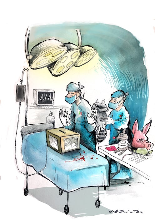 Operación electoral