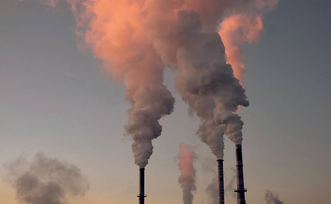 Foto ilustrativa: Pixabay