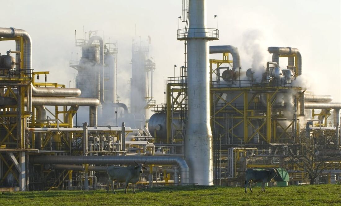 A part of the problem lies in the natural decay of the fields, according to the PEP investigation - Photo: Jaime Ávalos/EFE