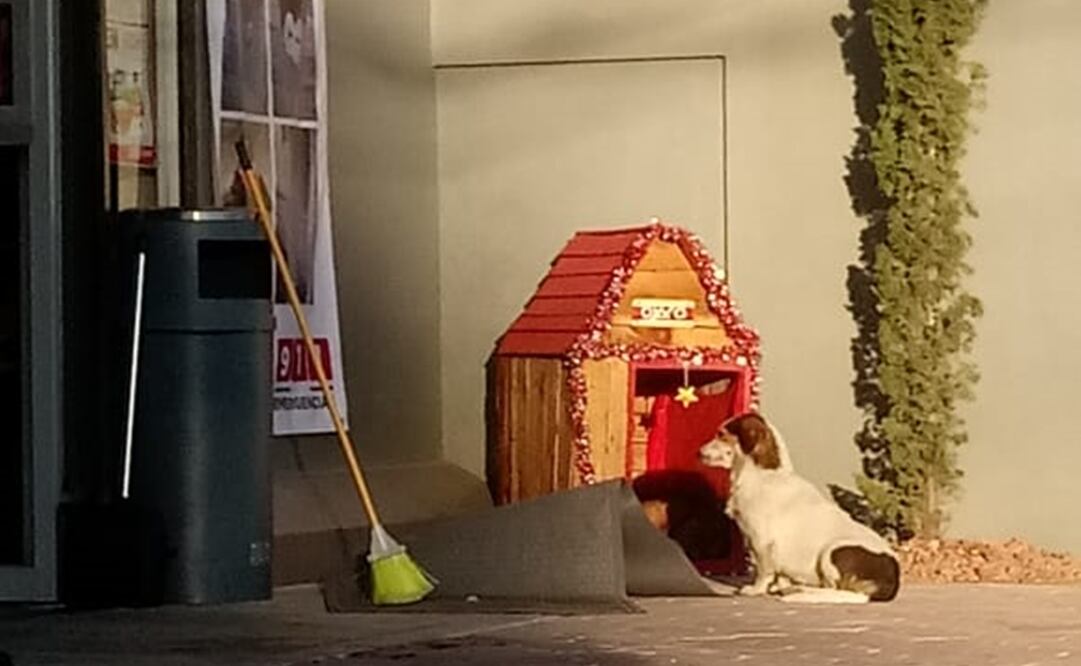 Foto: Cortesía Ángel Alfaro