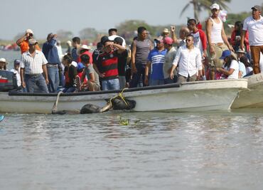 Tras trifulca, pobladores celebran embalse de toros en Tlacotalpan