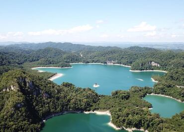 Los misterios del arte rupestre de la selva Lacandona, en un libro