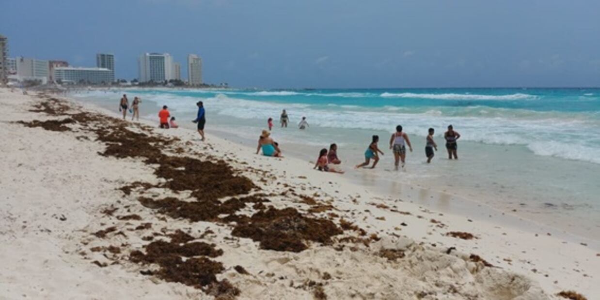 Senado aprueba exhorto para fiscalizar recursos destinados a contención del sargazo 