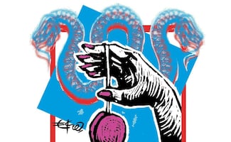 “Mujer de poco trabajo y menos resultados”