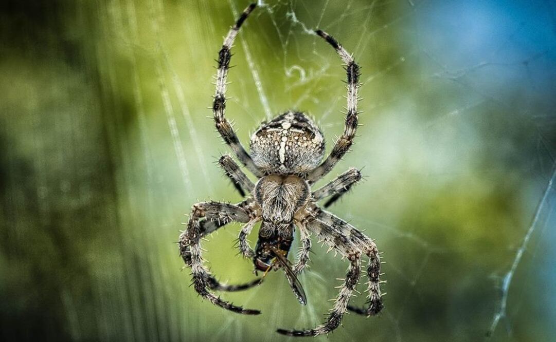 Foto: Ilustrativa. Pixabay