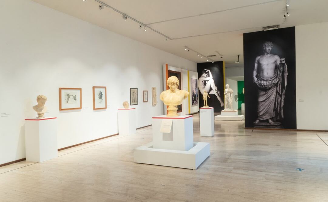 Foto: Vía Twitter Museo Nacional de San Carlos