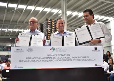 Hay voluntad compartida en renegociación del TLCAN: Meade