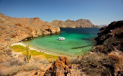 Baja California Sur: maravillas en mar y tierra