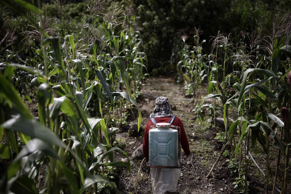 Acuerdo inflacionario abre puerta a riesgos sanitarios, advierten organismos empresariales