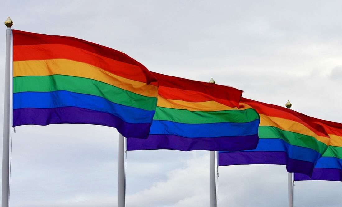 La comunidad LGBT en Estados Unidos enfrenta un panorama de incertidumbre y preocupación tras el regreso de Donald Trump a la presidencia en 2025. Foto: Pixabay