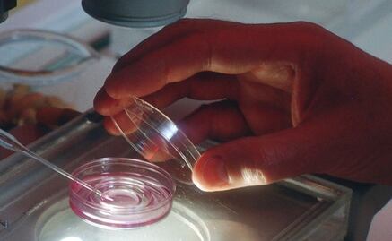 Nace el primer "bebé de tres padres" mediante fecundación in vitro