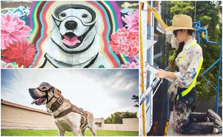 “Frida, symbol of hope and inspiration”