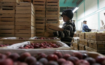 En Asamblea Legislativa, denuncian explotación infantil en Central de Abasto