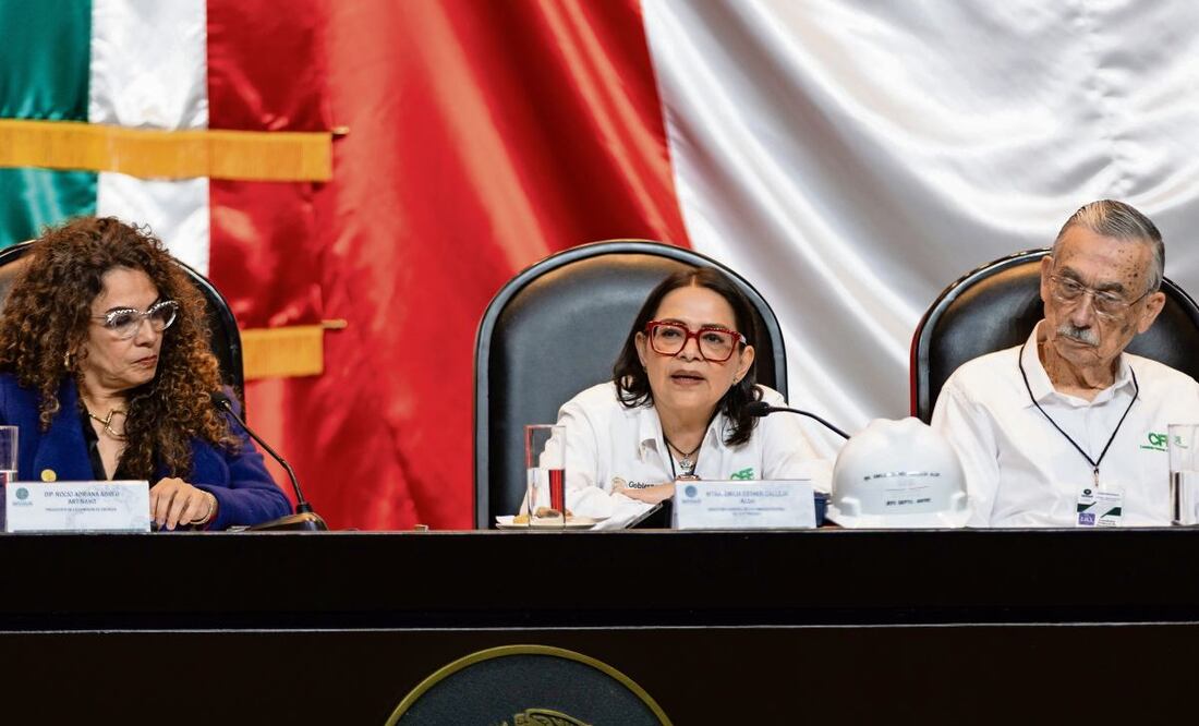 Emilia Esther Calleja, directora de la CFE, ayer al comparecer. Foto: Hugo Salvador / EL UNIVERSAL
