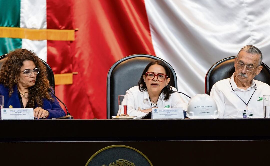 Emilia Esther Calleja, directora de la CFE, ayer al comparecer. Foto: Hugo Salvador / EL UNIVERSAL