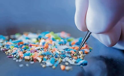 Microplásticos: pequeños, pero muy peligrosos