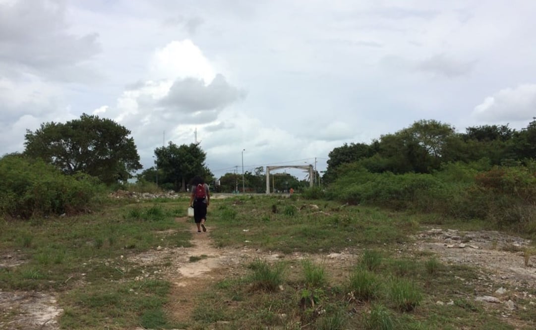 Adriana Varillas / EL UNIVERSAL