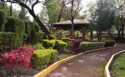 Tlaxcala pasa a verde en semáforo de riesgo Covid-19; abren centros recreativos