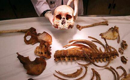 Tras la huella de los migrantes por ADN