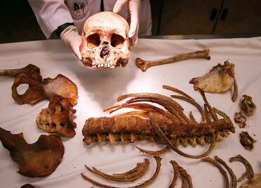 Tras la huella de los migrantes por ADN