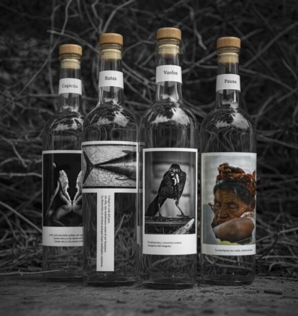 De mezcal, letras y fotografía