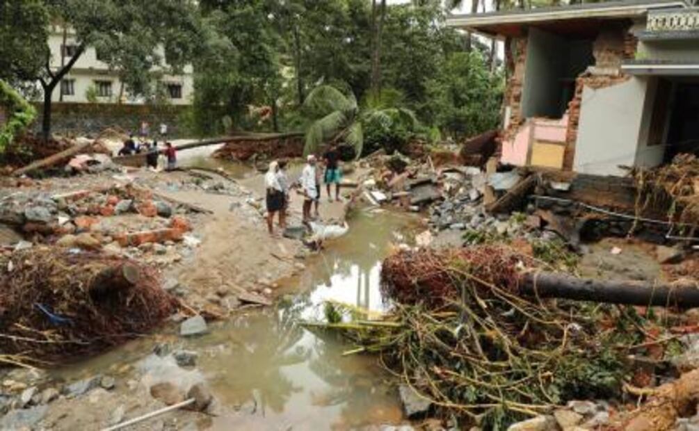 Perro salva a familia de inundaciones en India